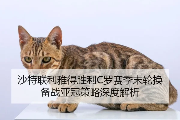 sha-te-lian-li-ya-de-sheng-li-luo-sai-ji-mo-lun-huan-bei-zhan-ya-guan-ce-lve-shen-du-jie-xi-3-387.jpg
