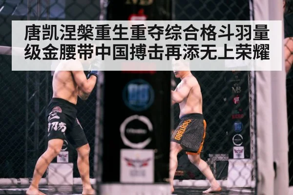 MMA cage fight action